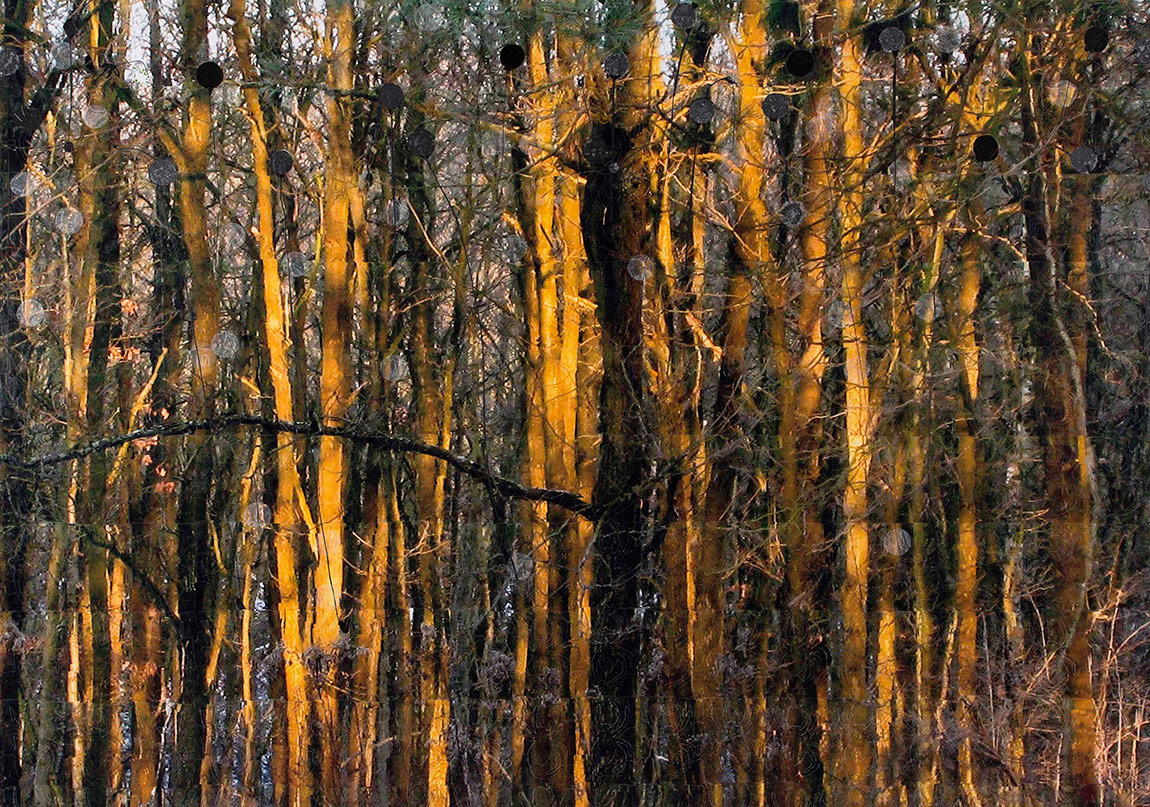 Doğanın Sınırları Var Mı?