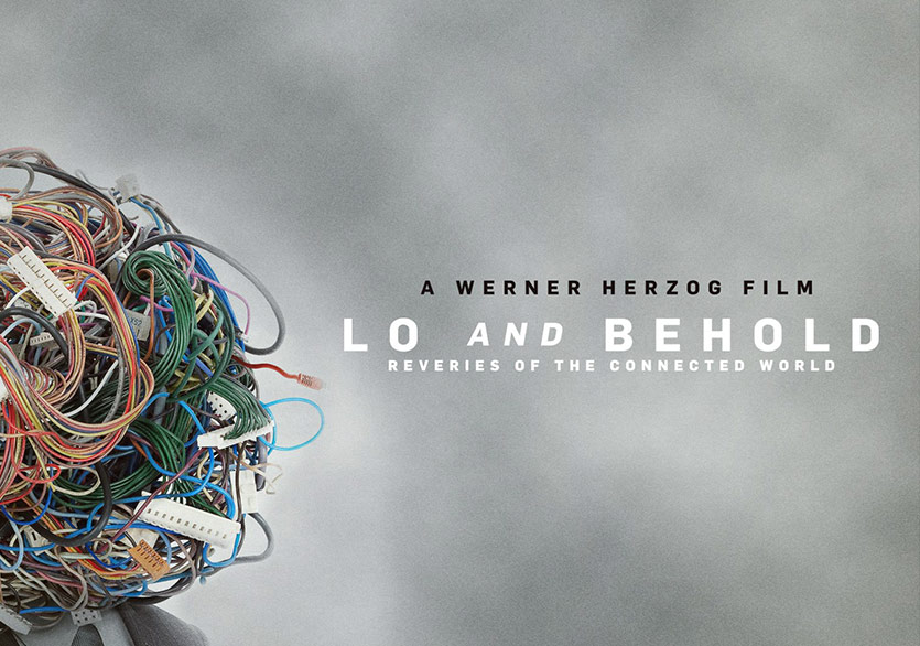 Herzog İnternete Meydan Okuyor