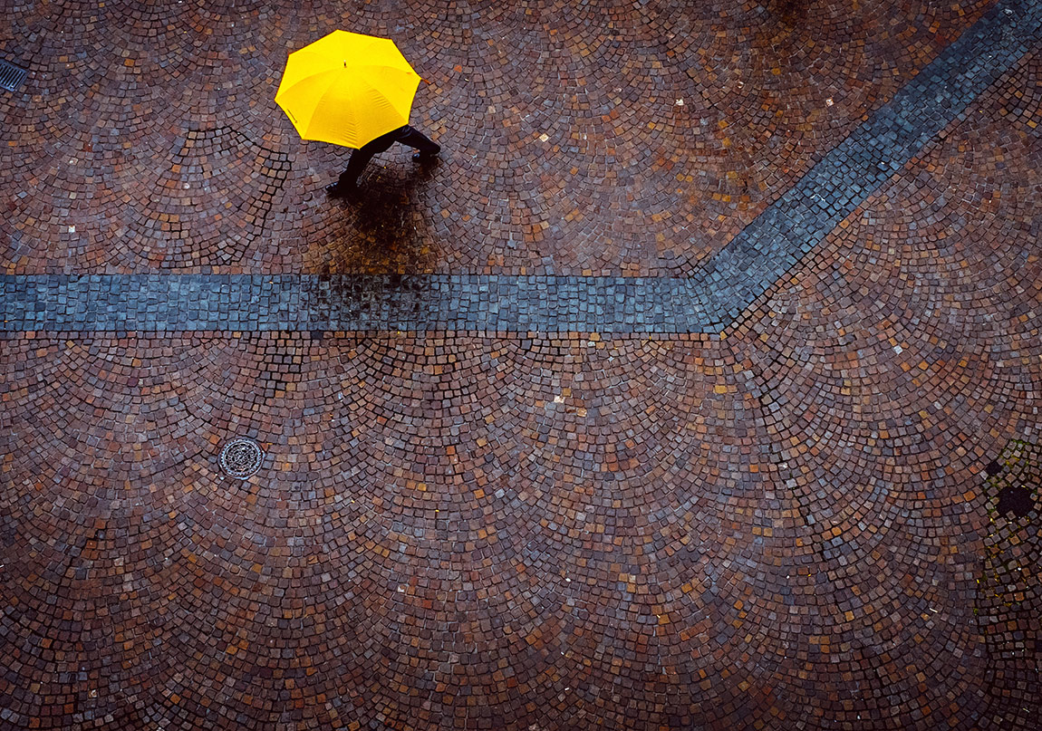 Tomris Uyar ve Milan Kundera’yla Okumak