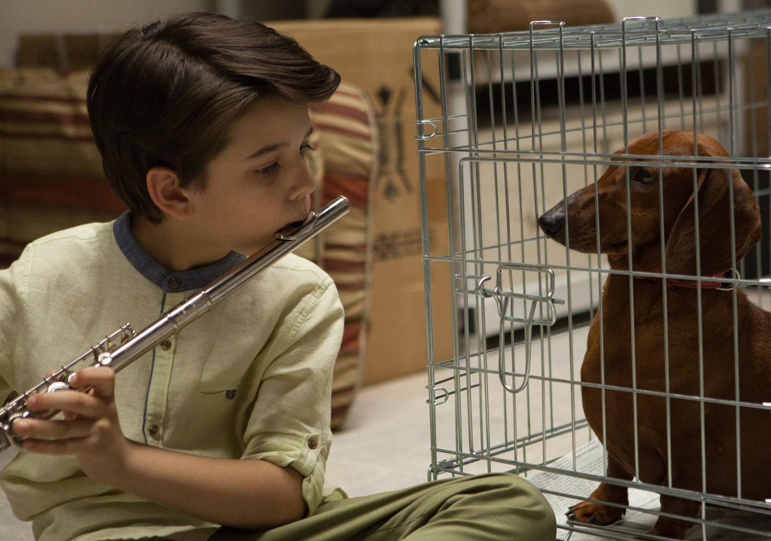 Filmekimi Başlıyor