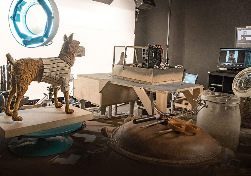 Bugünkü Sergi: Isle of Dogs! 