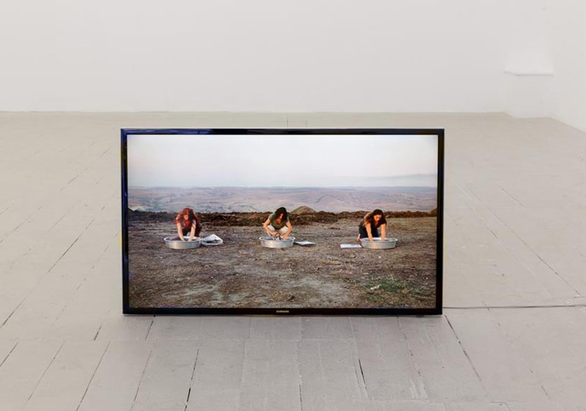 Şam Gülleri Londra’da Açıyor