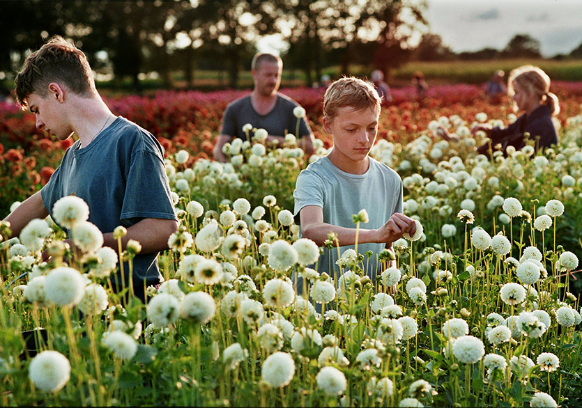 MUBI Nisan Programı Açıkladı