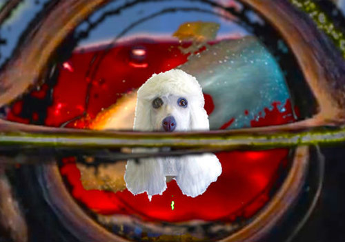 Jarman Ödülü Finalistleri Açıklandı