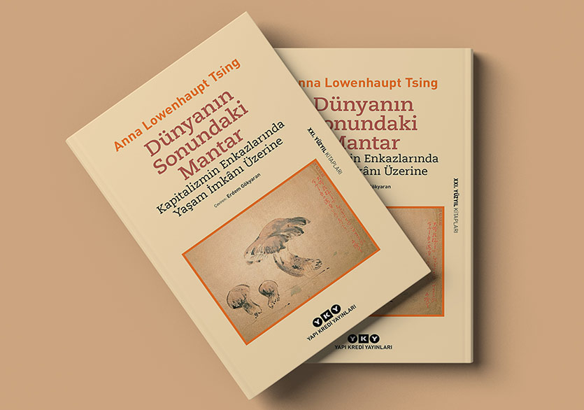 Kapitalizmin Enkazlarında Yaşam İmkânı Üzerine