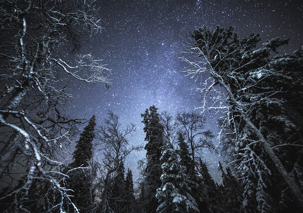 En İyi Gotik Roman Türkçede