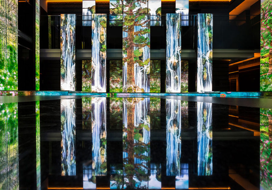 Tayvan’ın Vahşi Yaşamı Bir Bankanın İçinde