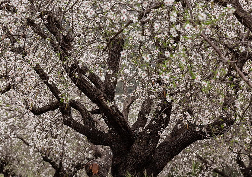 KUN Art Space ve Gallery Art Port’tan İş Birliği: “I HOPE”