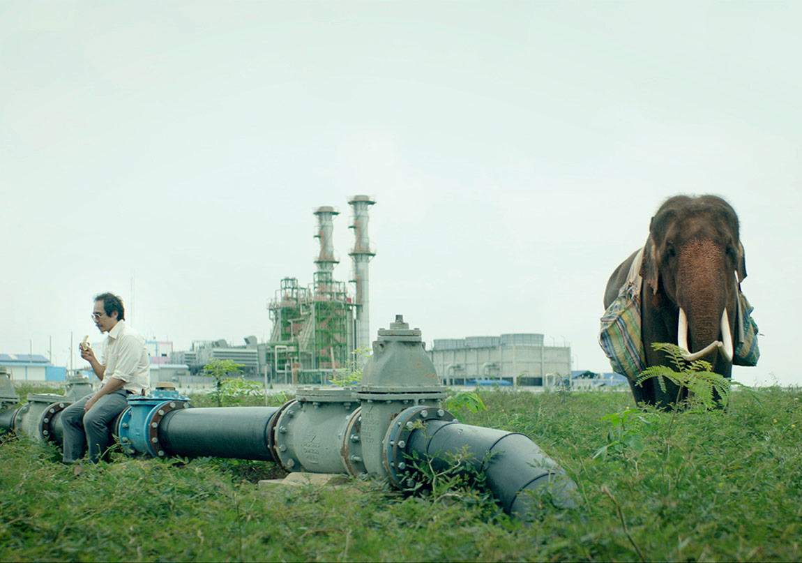 Yılın Öne Çıkan Filmlerinden Pop Aye’dan Trailer!