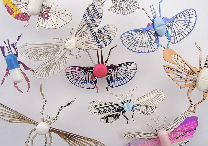 Merel Slootheer’dan Kâğıt Böcekler