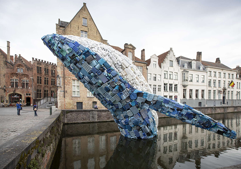 Brugge Kanalı’nda Dev Bir Balina