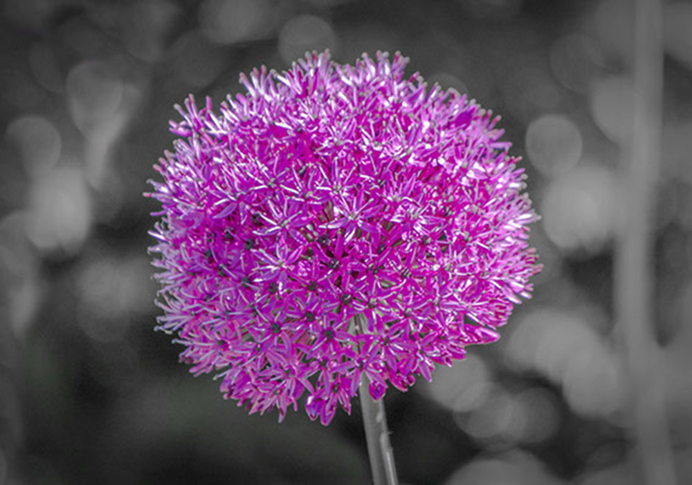 Bu, Şimdiki Zaman Kipinde Yazılmalıydı 
