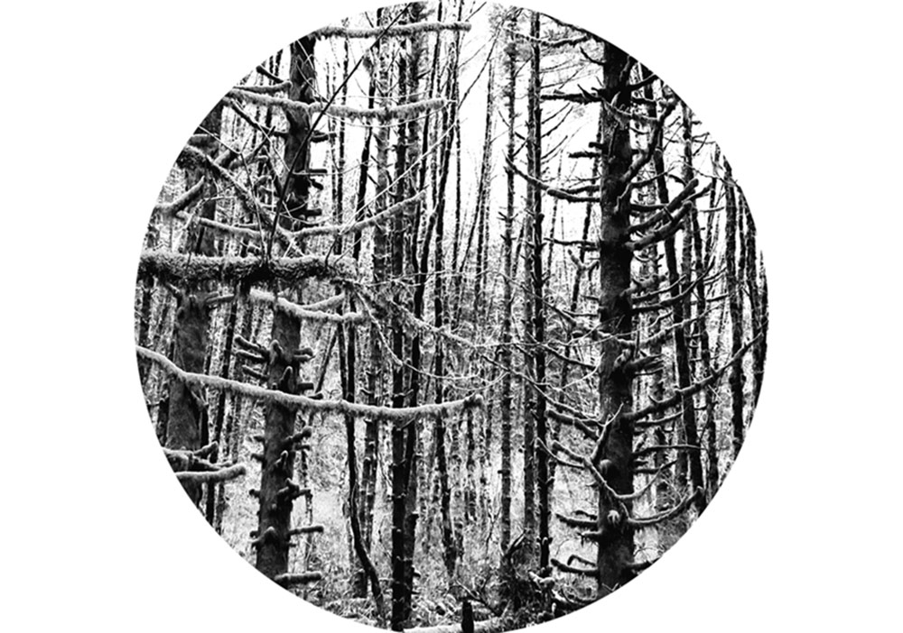 Çizimin Güncel Yorumu