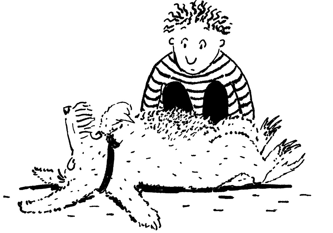 Bay Bello’ya Tekrar Kavuşmak Raflarda!