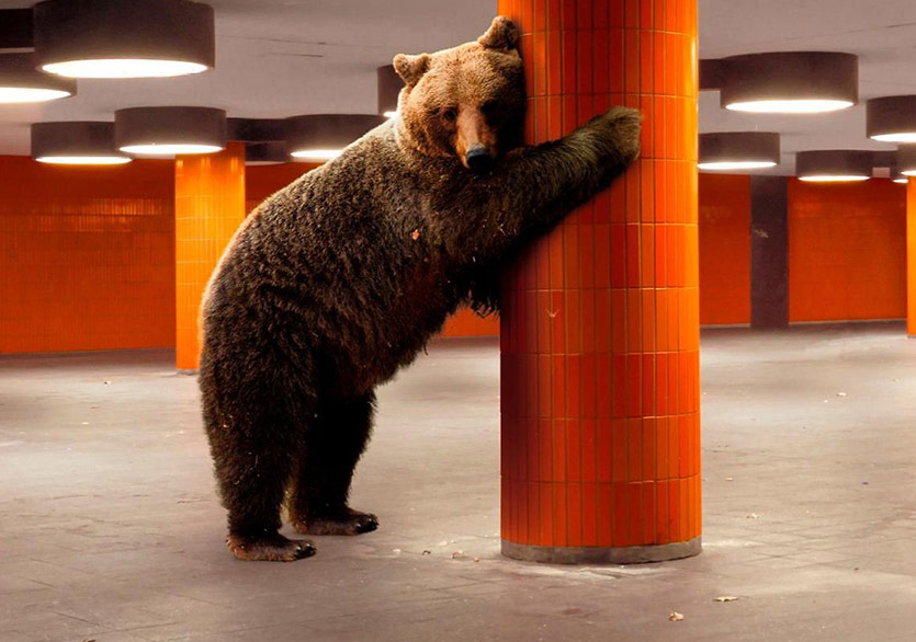 Berlin Film Festivali’nin İlk Beş Günü Bitti