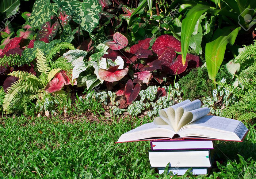 Kitap Avcıları İş Başında