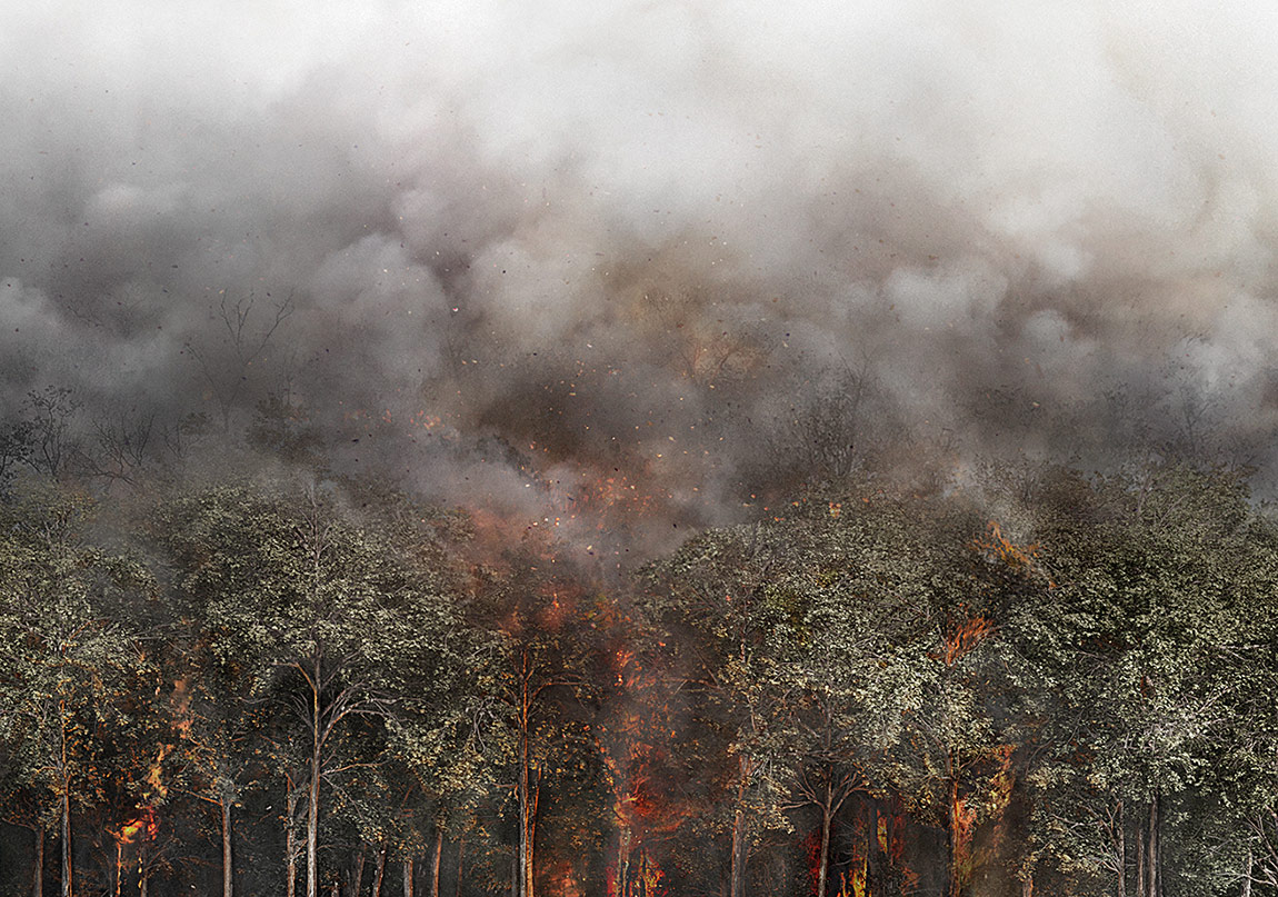 Dönüştüren Belgeseller 17 Ocak’ta Gösterimde!