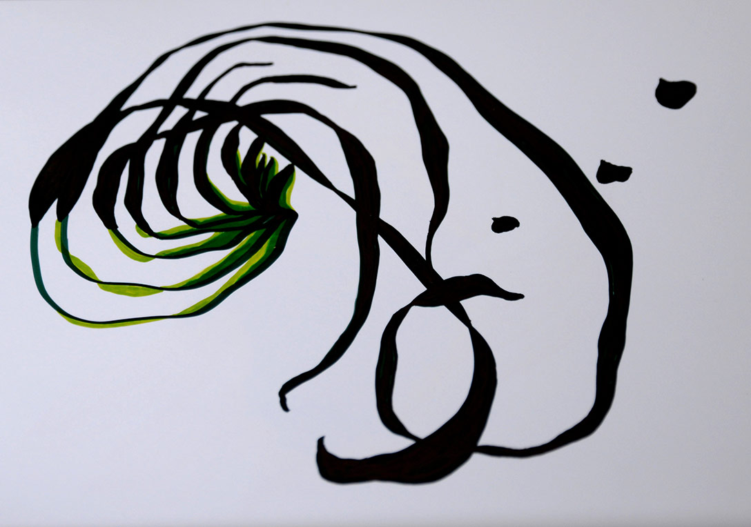 Deney Alanı Olarak Bitkilerin Bulmacası