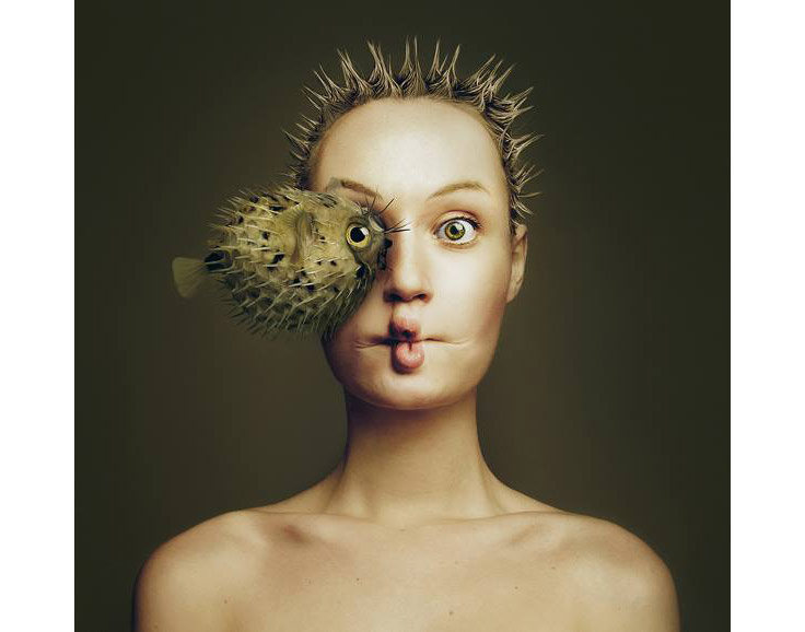 Suratınızın Yarısını Bir Hayvanla Paylaşmaya Ne Dersiniz?