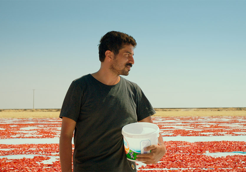 Murat Fıratoğlu’nun Ödüllü Filmi “Hemme’nin Öldüğü Günlerden Biri” MUBI’de