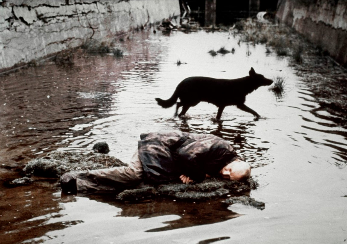 Sinema Kitapları Aralık Ayı Boyunca %40 İndirimde!