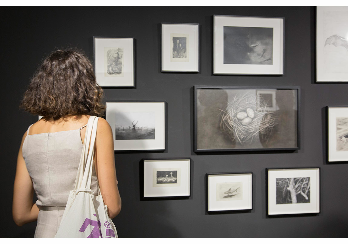 Ve Yolun Her Adımı