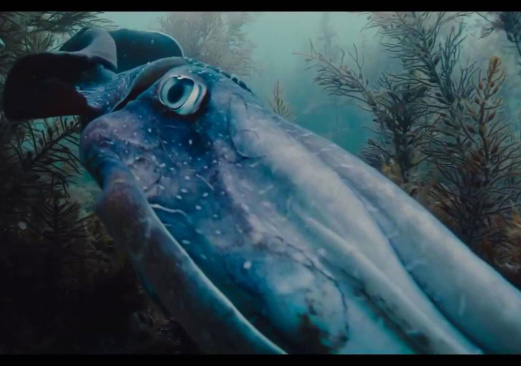 Terrence Malick Belgeselinin Fragmanı Yayında