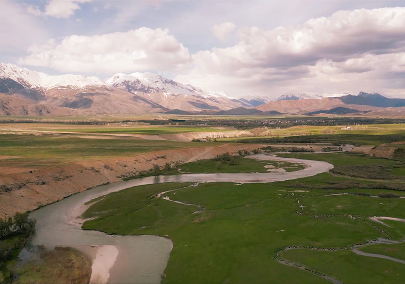 “Dağdaki Keçi, Gökteki Ay, Sudaki Balık” Sergisi Söyleşisi 12 Temmuz’da