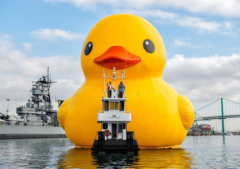 Dev Ördek Kanada Açıklarında 