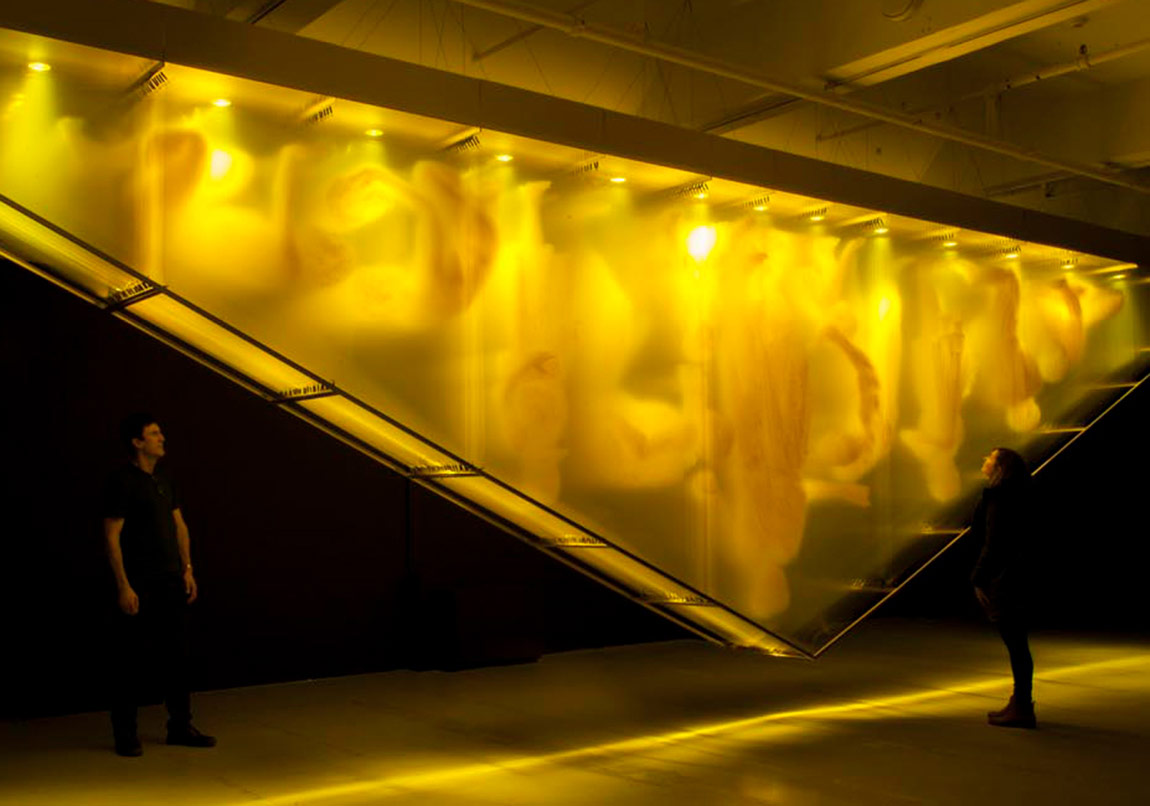 David Spriggs Wealth Pyramid’i Tersine Döndürdü