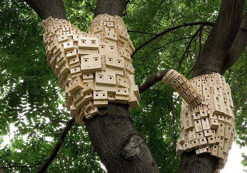 Londra’da Ağaçlara Yerleştirilen Kuş Evleri