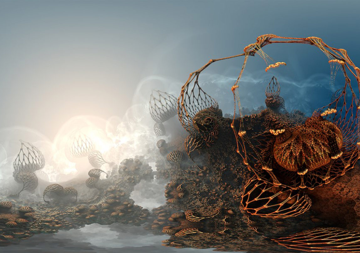 Bütünü Bir Arada Gösteren Deneyim Ağı
