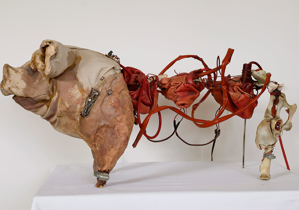 İz ve Bellek Kavramları Üzerine
