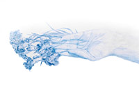 Gülnihal Kalfa’nın “Çiçeklenen Yokluk” Sergisi Ka’da