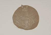 border_less EDITIONS Pop Up Sergisi Dirimart Pera’da