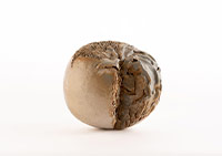 Galerist ve Galeri Nev’den İş Birliği: “Kayada Büyüdüm Ben”