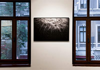 EArt Galeri’den Yeni Sergi: “Summer Edition Vol. V”