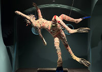 Moni Salim Özgilik’in “Adrift/Askıda” Enstalasyonu Belm’art Space Ankara’da