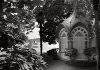 Şule Gazioğlu Gallery’den Yeni Sergi: “Rooted: The Garden Within”