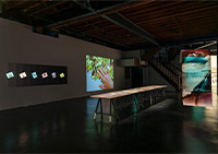 KASA Galeri’den Yeni Sergi: “Symbolic Vault: Entanglements of Human, Nature, Machine”