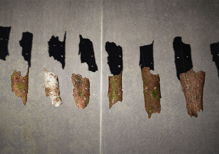 Arter’den İki Yeni Sergi: “Hayalet Kuartet” ve “Hah!”