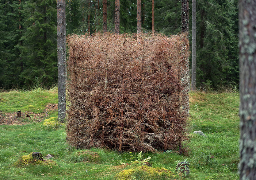 Antti Laitinen’in “Coalescing with Nature” Sergisi Zarastro Art’ta