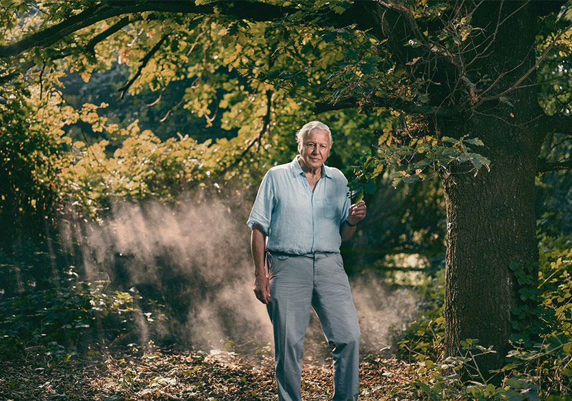 Sir David Attenborough’tan Bir Yok Oluş Hikâyesi 