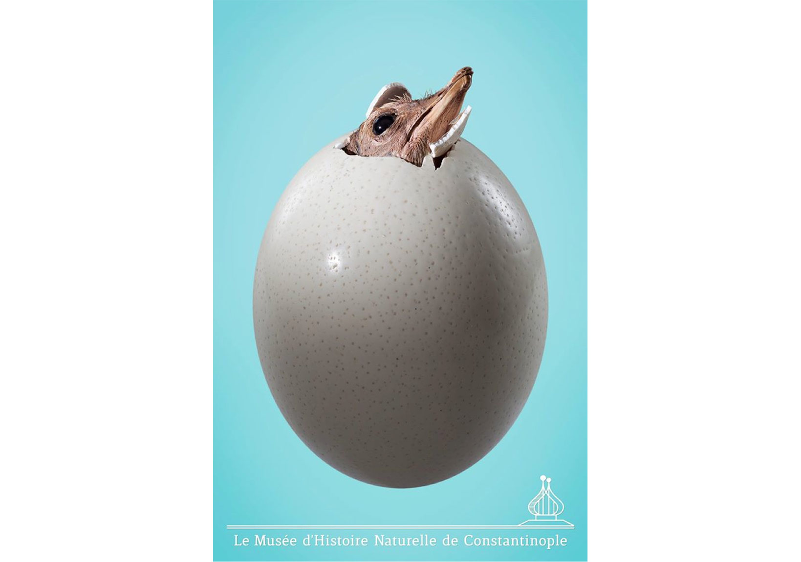 Kayıp Bir Müzeyi Aramak