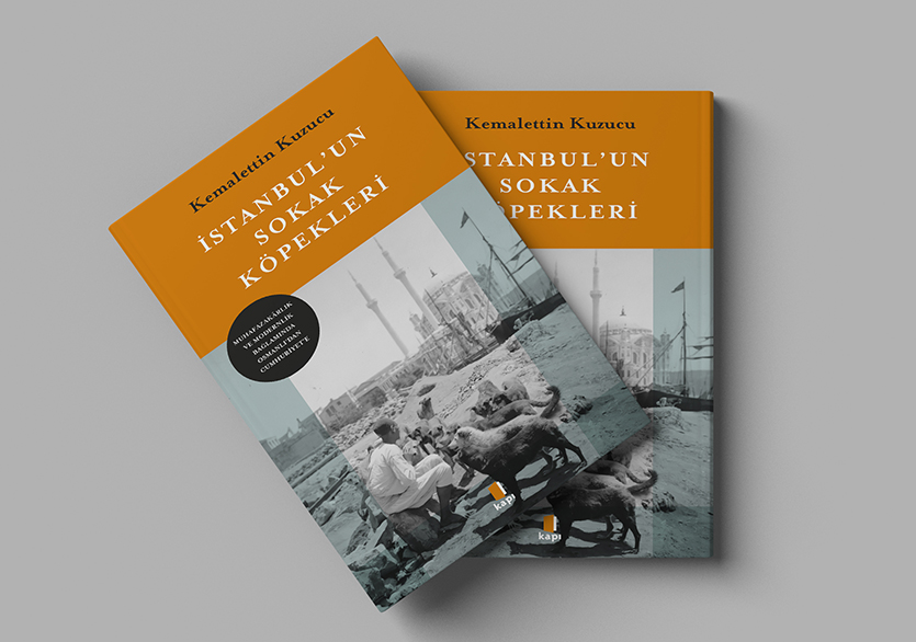 İstanbul’un Sokak Köpekleri