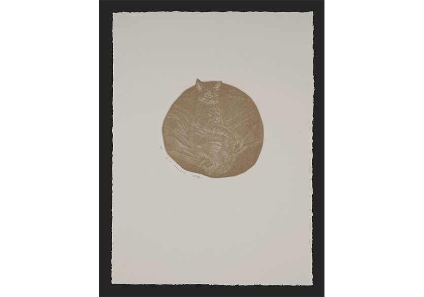 border_less EDITIONS Pop Up Sergisi Dirimart Pera’da