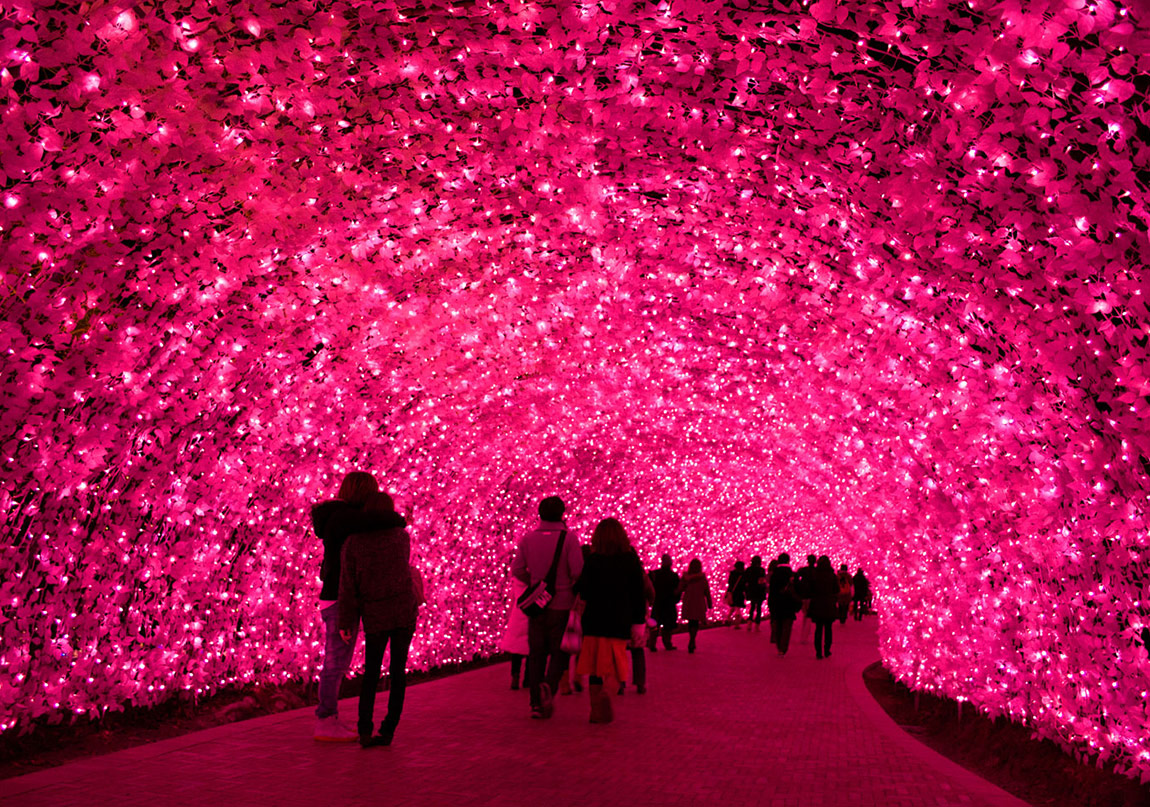 Winter Light Festival Japonya’da Işık Saçıyor