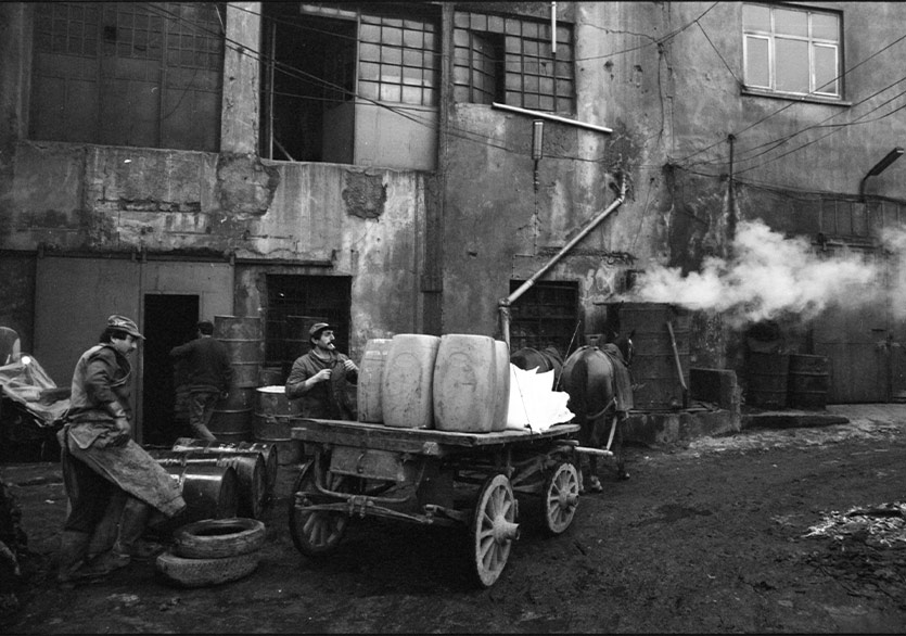 Salt Araştırma’dan Yıldız Çelik Arşivi