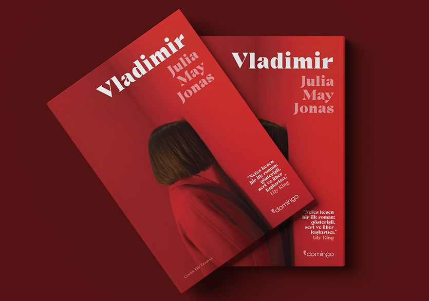 Cesur ve Sarsıcı Bir İlk Roman: “Vladimir”