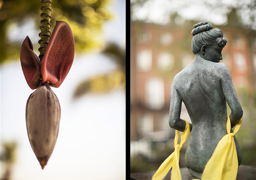 Kavramlar Üzerinden İnsanlık Hâlleri